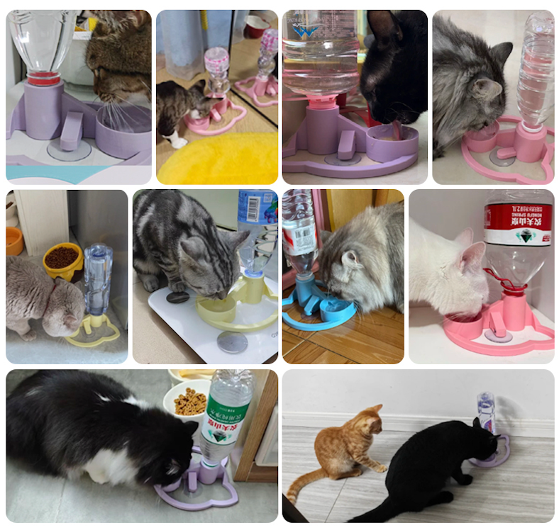 Minimalist Gravity Cat Water Dispenser | Eco-Friendly, No-Electric, Fits Any Standard Bottle