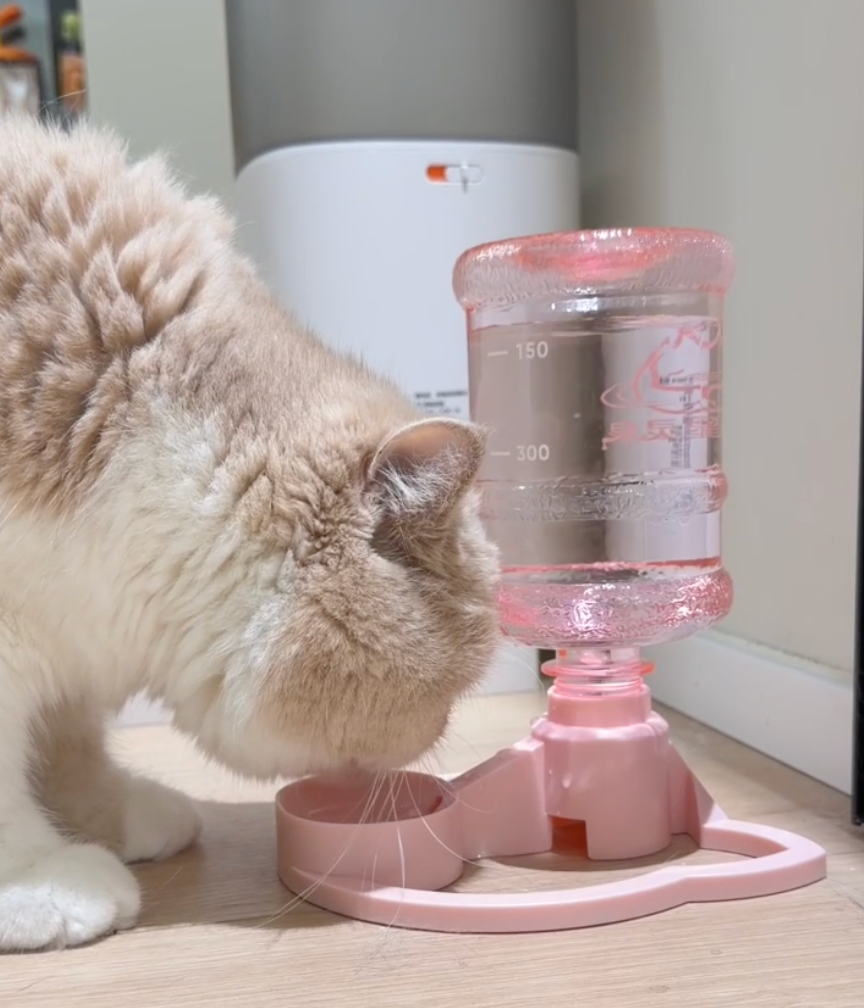 Minimalist Gravity Cat Water Dispenser | Eco-Friendly, No-Electric, Fits Any Standard Bottle