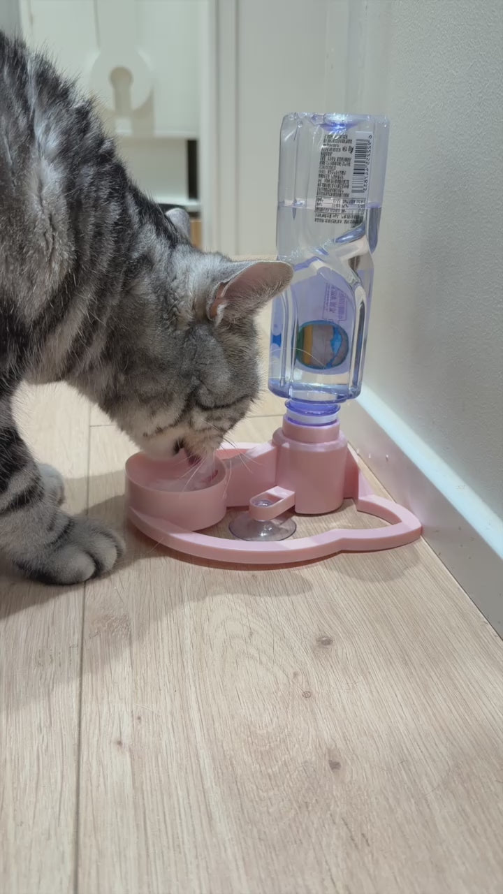 A No-Electric Cat Water Fountain That Turns Any Bottle Into Fresh Water